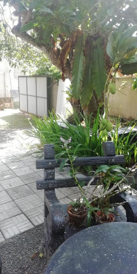 Ami place Hikkaduwa Buitenkant foto